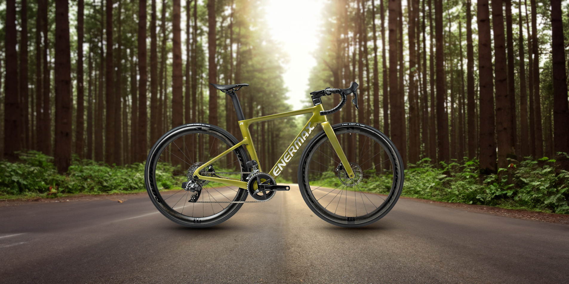 ENEREX 安銳-經典版 專業碳纖公路競賽用自行車專為公路賽道馳騁競速打造